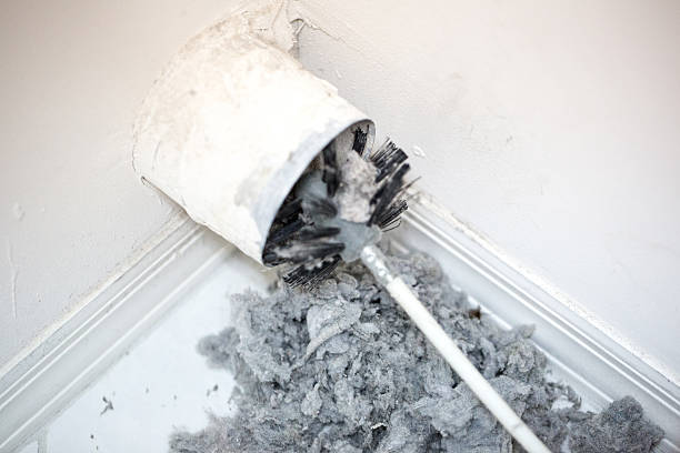 Best Air Duct Sanitizing Services  in Bolingbrook, IL